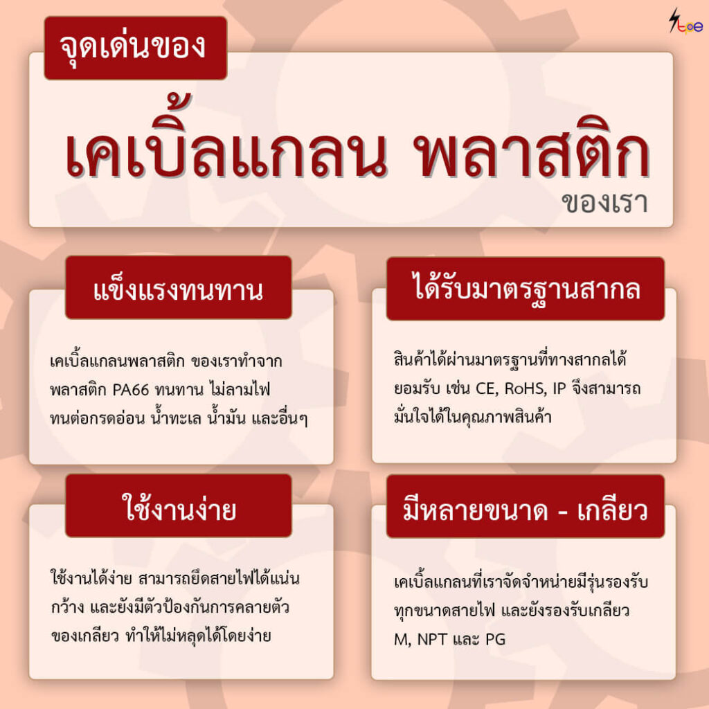 จุดเด่นของ เคเบิ้ลแกลน พลาสติก ของเรา